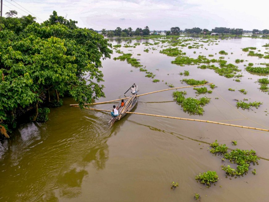 Monsoon Fury: Bihar Rivers Touch Danger Mark; Assam Flood Situation Still Critical As Torrential Rains Batter Eastern India