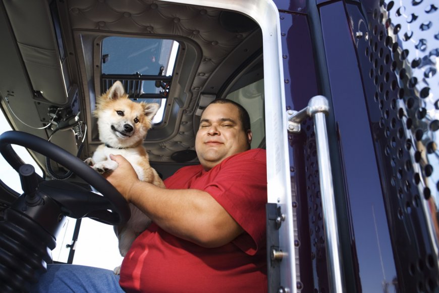 Truck driver salaries: How much you can make driving a big rig