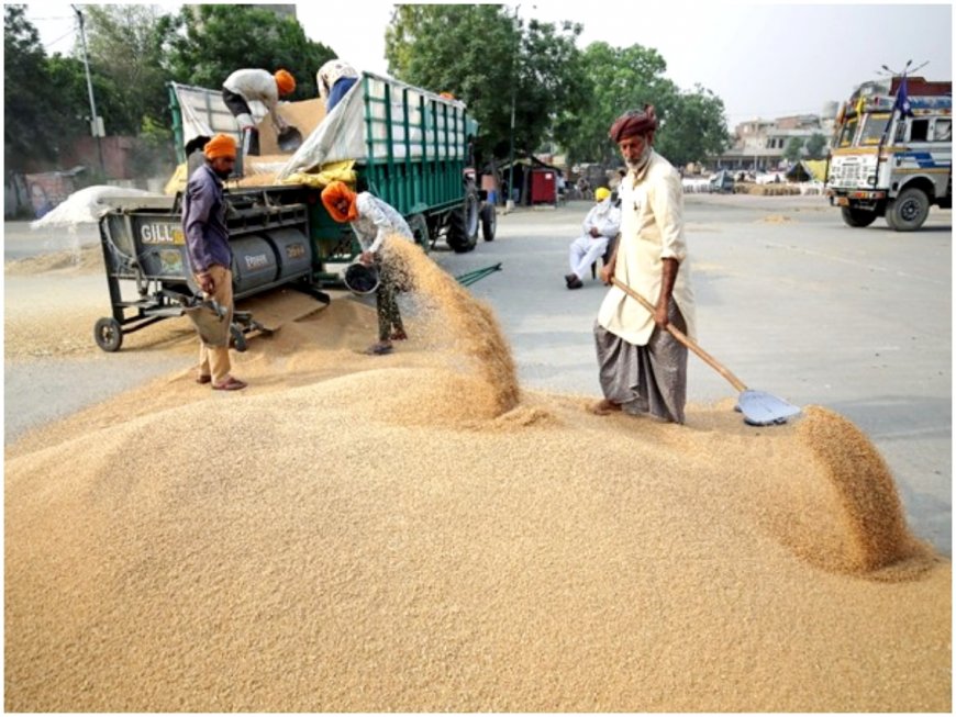 Pakistan: Shehbaz Sharif Govt Imposes Ban On Wheat Import, Flour Export