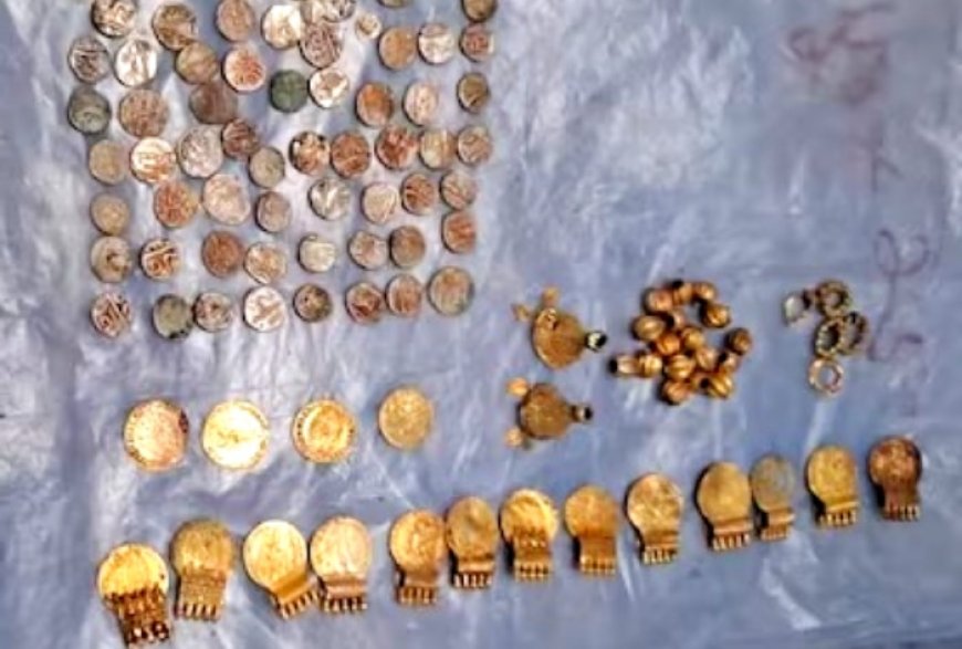 Kerala Laborers Get Shocked As Gold, Silver Artefacts Unearthed While Digging Rainwater Pits