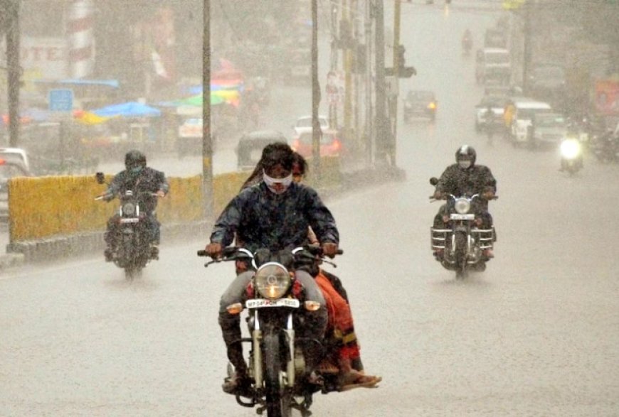 Red Alert Issue For Maharashtra, Very Heavy Rain Warning For Mumbai; Check IMD Forecast