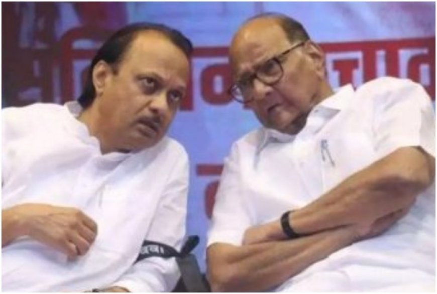 Will Ajit Pawar Return To NCP(SP)? Sharad Pawar Says, ‘Will Ask…’