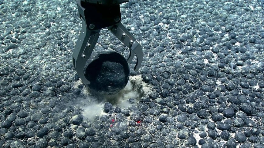 In a seafloor surprise, metal-rich chunks may generate deep-sea oxygen