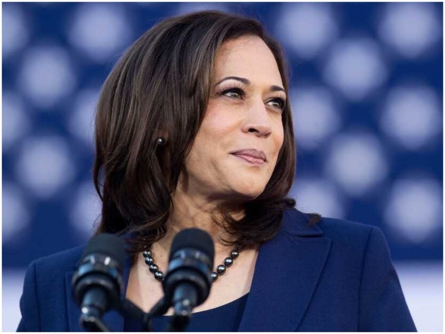 US Election Is A Choice Between Freedom And Chaos: Kamala Harris at Wisconsin rally