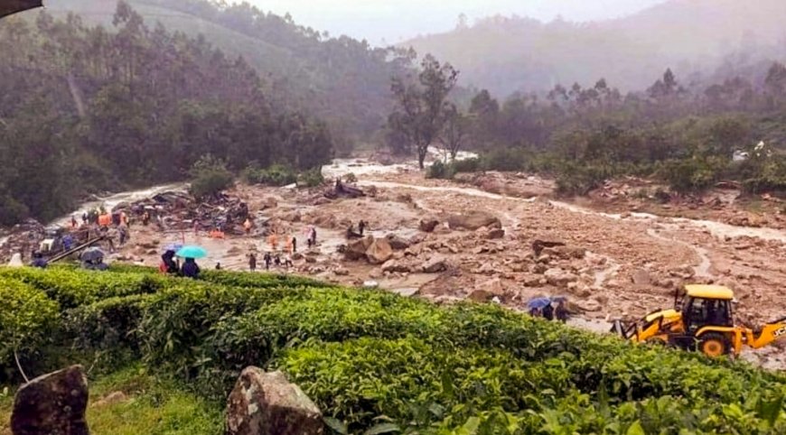 Wayanad Landslides: 150 People Stranded at Meppadi Resort, PM Modi Assures All Help – What We Know So Far