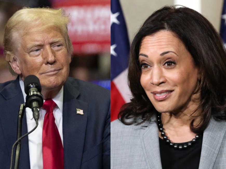 “Is She Indian Or Is She Black?”: Donald Trump’s Attack on Kamala Harris; White House Condemns Remarks