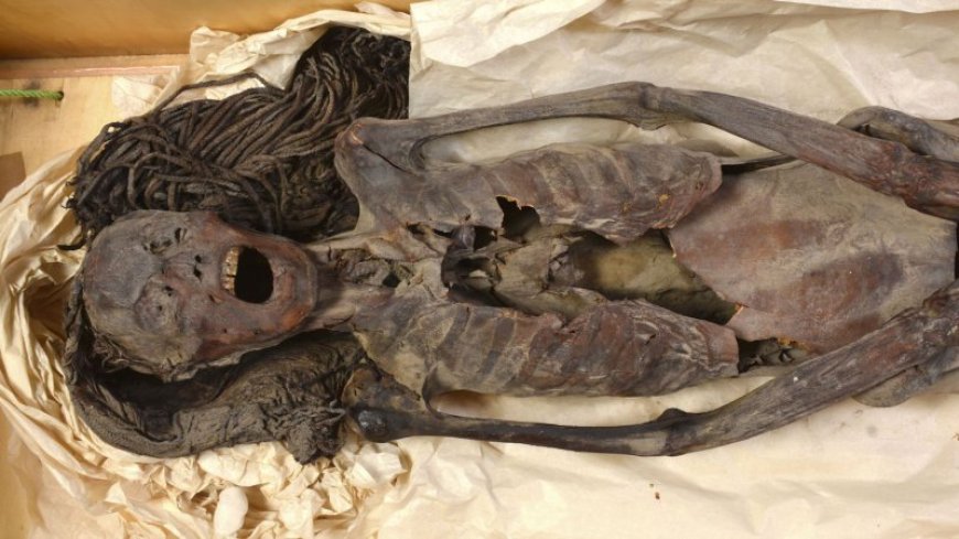 An Egyptian mummy’s silent ‘scream’ might have been fixed at death