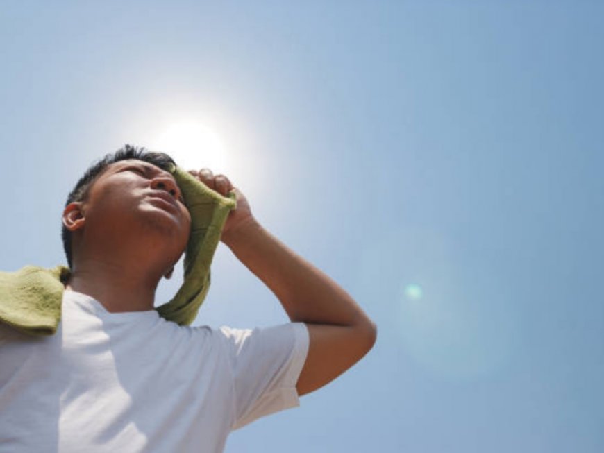 374 Heatstroke Deaths Recorded Till July 27, Says Health Ministry; UP Worst Affected