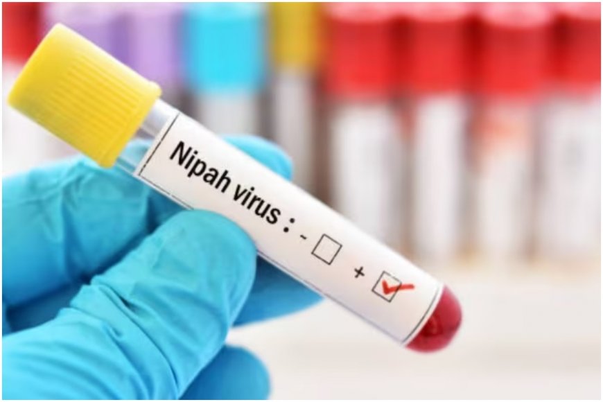 Nipah Virus Detected In Bat Samples From Malappuram District, Kerala