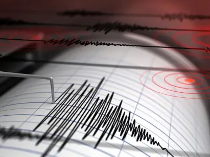 Two Strong Earthquakes Of Magnitude 6.9 And 7.1 Jolt Southern Japan’s Miyazaki; Tsunami Advisory Issued