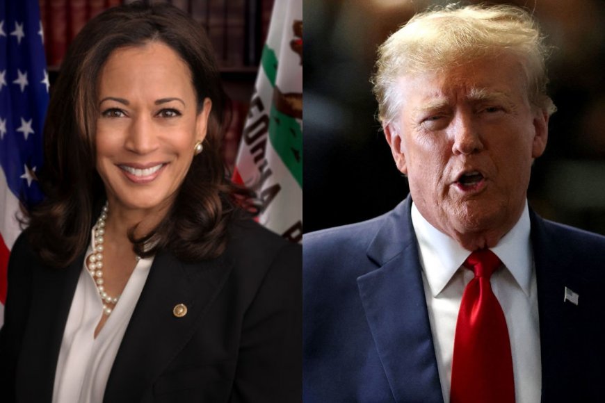 Donald Trump Proposes 3 Presidential Debates In September, Kamala Harris Yet To Confirm