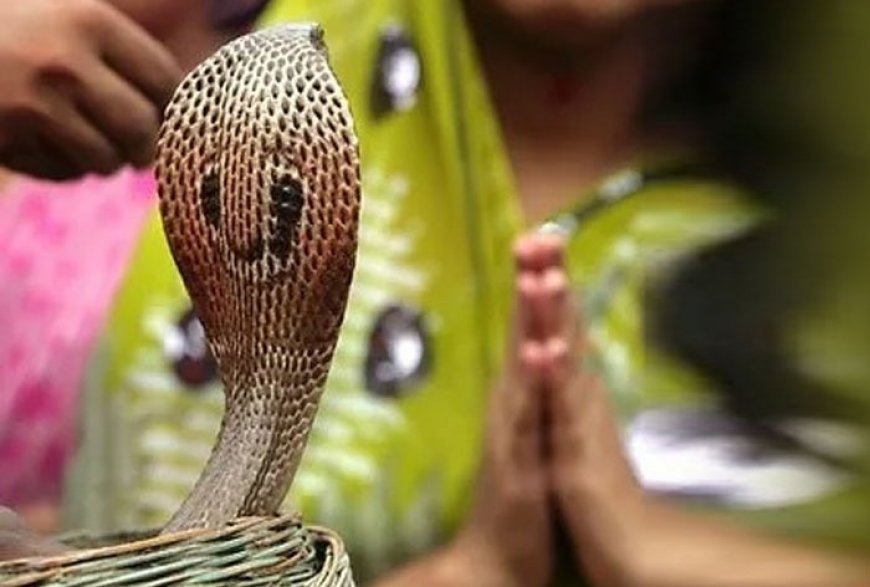 Nag Panchami 2024: Know Muhurat Timing, Puja Rituals And Myths