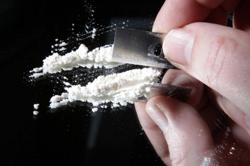 What Makes Cocaine So Dangerous, New Research Reveals