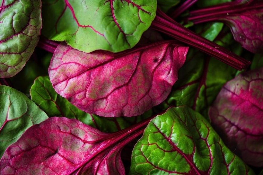 Weight Loss With Red Spinach: 5 Ways to Incorporate Amarnath Saag Into Your Daily Meals