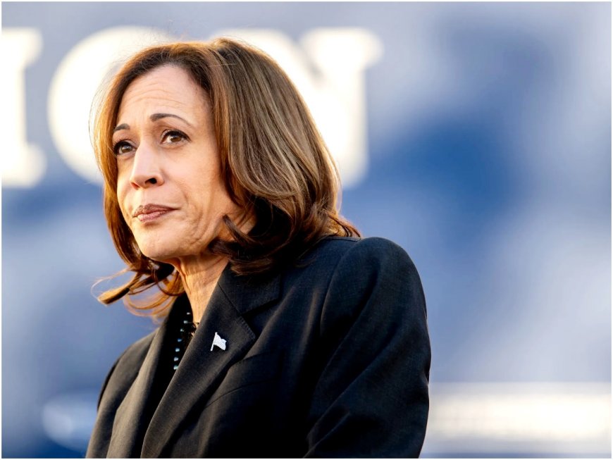 US Elections 2024: Kamala Harris Campaign Claims It Is Targeted by Foreign Hackers