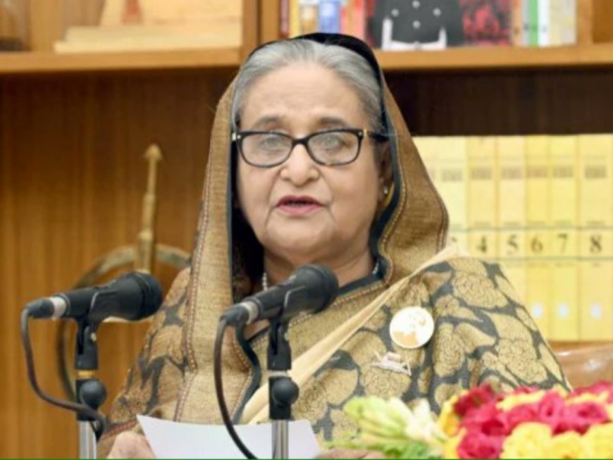 Extradite Sheikh Hasina To Bangladesh, Let Her Face Trial, BNP Asks India