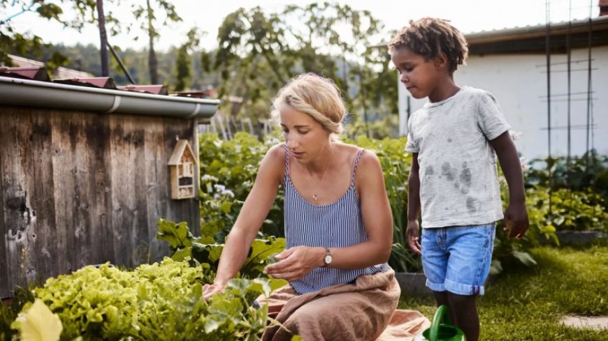 Can scientists make fruits and veggies resilient to climate change?