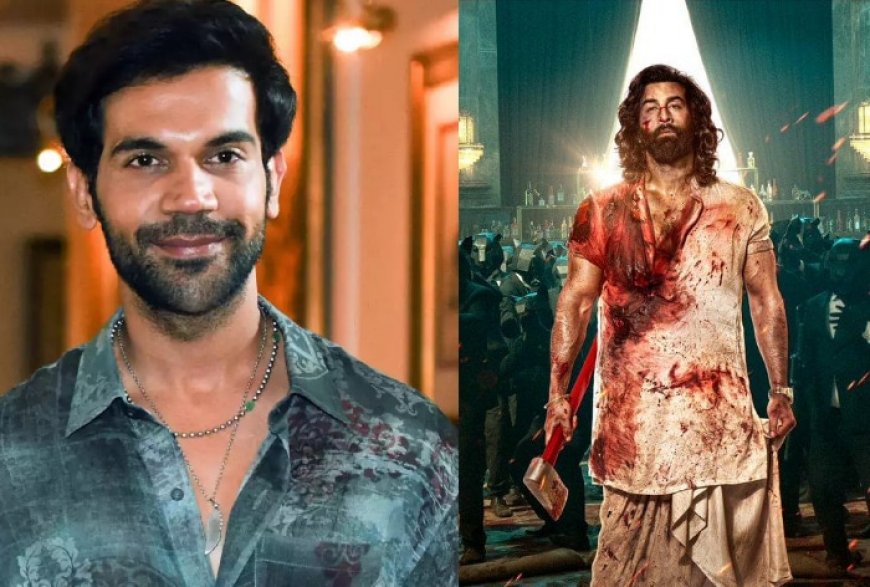 Rajkummar Rao on Glorification of Negative Characters, Defends Devdas And Animal