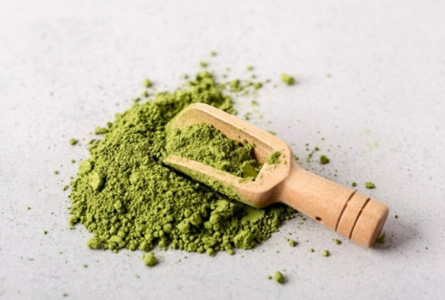 Weight Loss with Moringa Powder: 5 Reasons Why This Superfood Should Be Part Of Your Meal