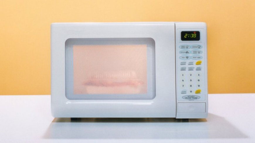 More than 100 bacteria species can flourish in microwave ovens