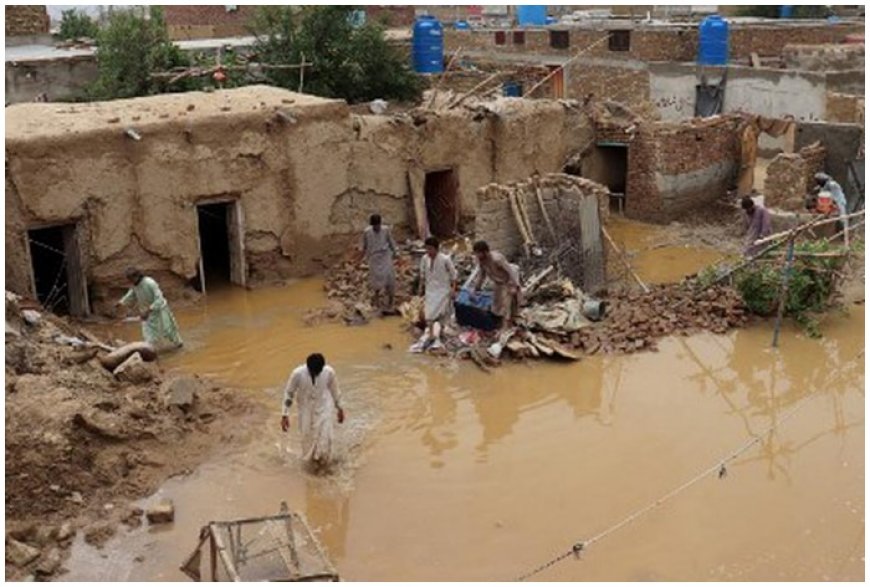 Pakistan Rain Havoc: 22 Including Children Dead In Balochistan Torrential Showers