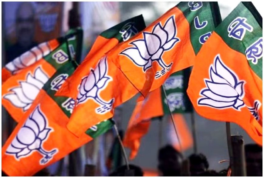 J&K Assembly Polls: BJP Likely To Contest 60-70 Seats; May Field Muslims In Poonch Belt