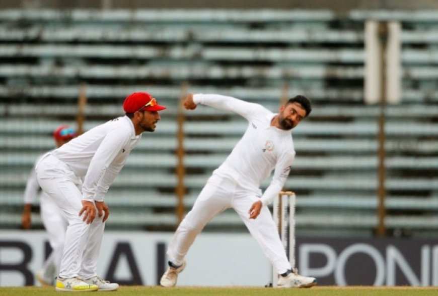 Afghanistan Leave Out Rashid Khan For One-Test Match Against New Zealand, Hashmatullah Shahidi To lead