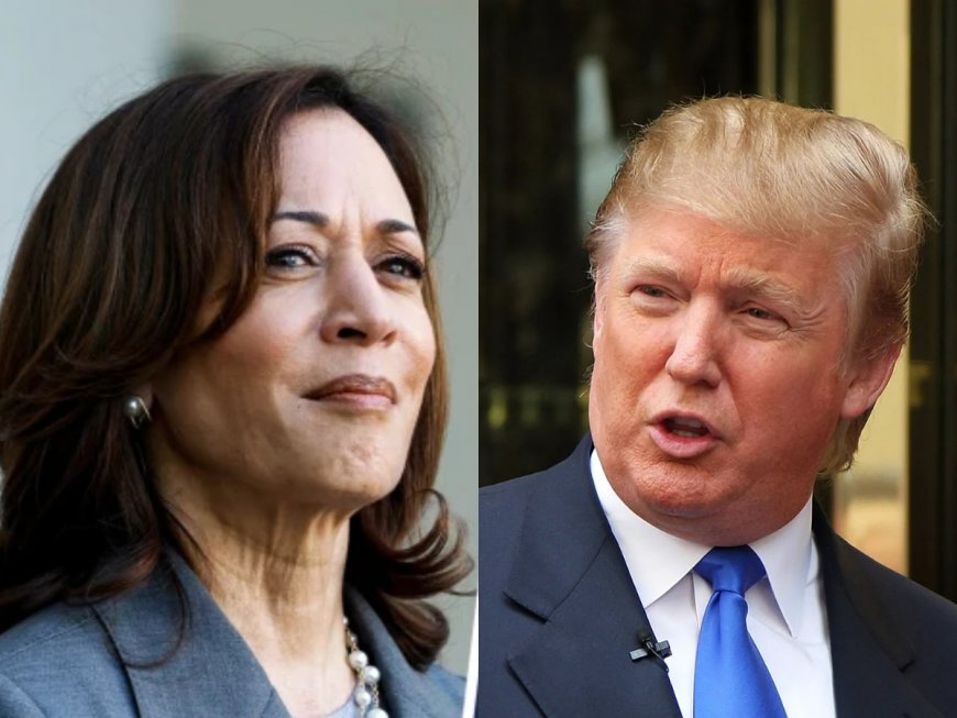 US Presidential Elections 2024: Donald Trump Agrees To Debate With Kamala Harris, Sets Specific Conditions