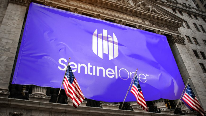 Analysts reboot SentinelOne stock price targets after earnings