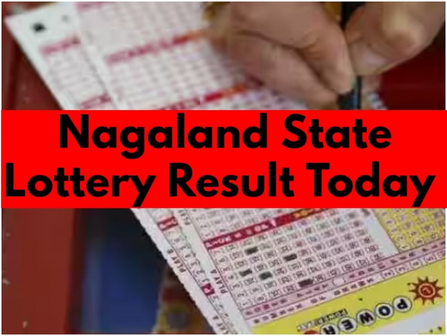 Nagaland State Sambad Lottery Result August 29.08.2024: Lucky Draw Result For DEAR MAHANADI MORNING 1 PM (SHORTLY); Check Rs 1 Crore First Prize Winning Numbers