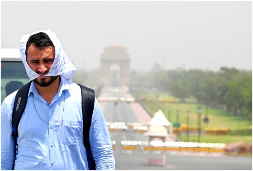 Delhi Weather Update: Sunny Skies, Warm Days Return To National Capital After Long Time; Detailed Forecast