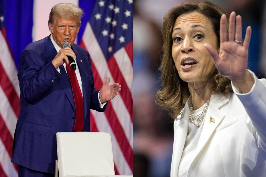 Georgia Shooting: Donald Trump, Kamala Harris Condemn Violence, Call for End of Gun Violence