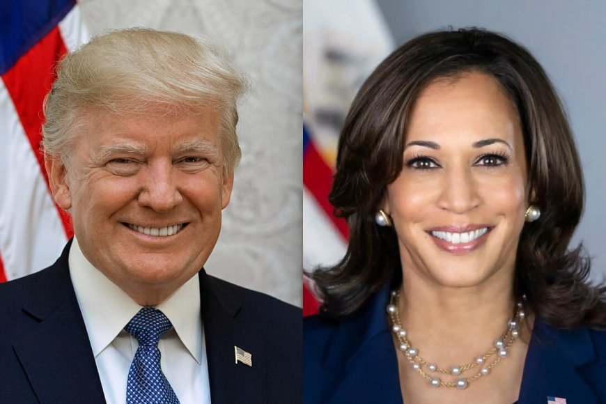 Donald Trump Or Kamala Harris, Who Will Be Next US President? Expert Forecaster Allan Lichtman, Known For Accurate Predictions Answers