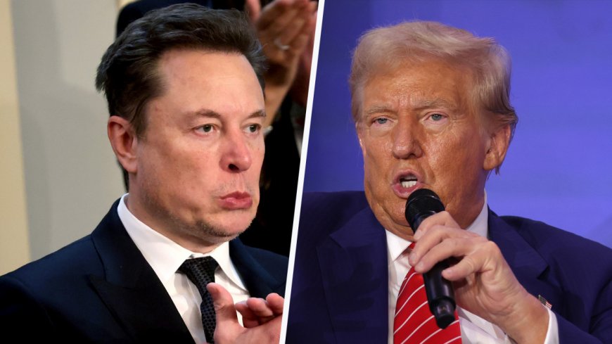 A wild Elon Musk in the White House could kill Trump's legacy