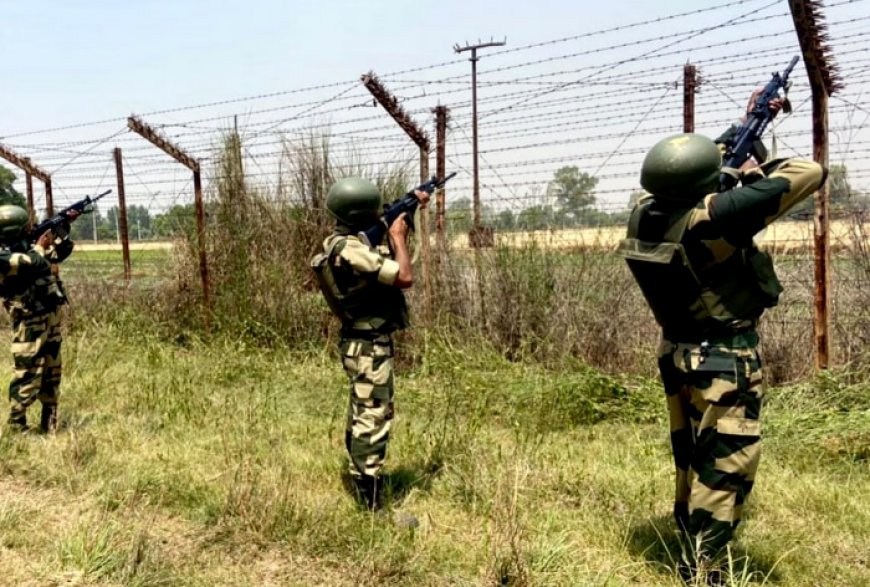 BSF troop injured as Pakistan violates ceasefire along Jammu border