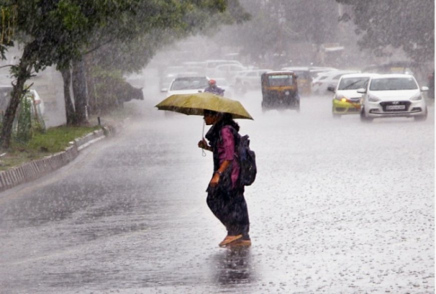 IMD warns of heavy rainfall and thunderstorm in Odisha; Check full forecast here