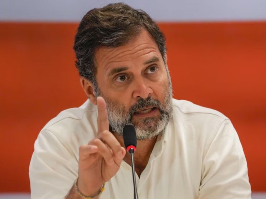 Rahul Gandhi lambasts Modi govt over video of Annapoorna restaurant chain owner ‘apologising’ to Sitharaman