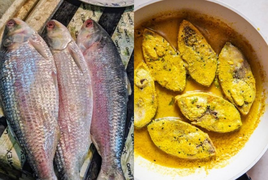 ‘Hilsa Diplomacy’? No Padma Ilish maach from Bangladesh for Bengalis this Durga Puja, Here’s why