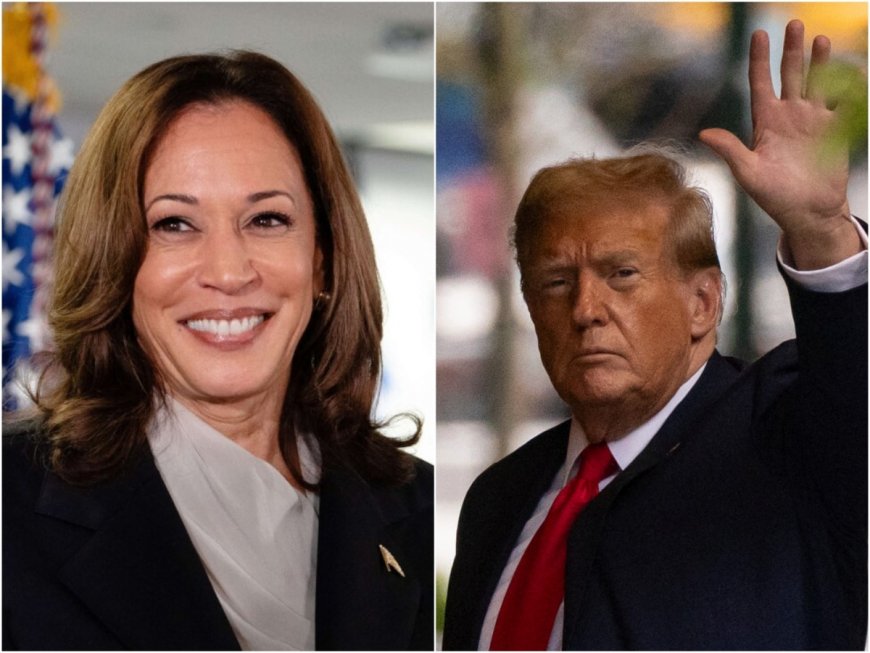 White House will ‘smell like curry’ if…: Trump ally mocks Kamala Harris’ Indian heritage in racist post, triggers outrage