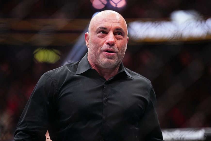 Joe Rogan’s net worth: The controversial podcaster’s salary & investments