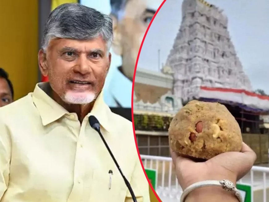 Tirupati Laddu row: Health Ministry seeks ‘detailed report’ over alleged presence of animal fat in ‘prasadam’