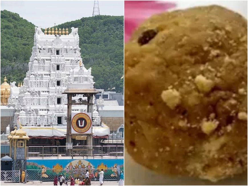 Temples must be ‘freed’ from govt control, handed to Hindus; how VHP reacted to Tirupati Laddu controversy