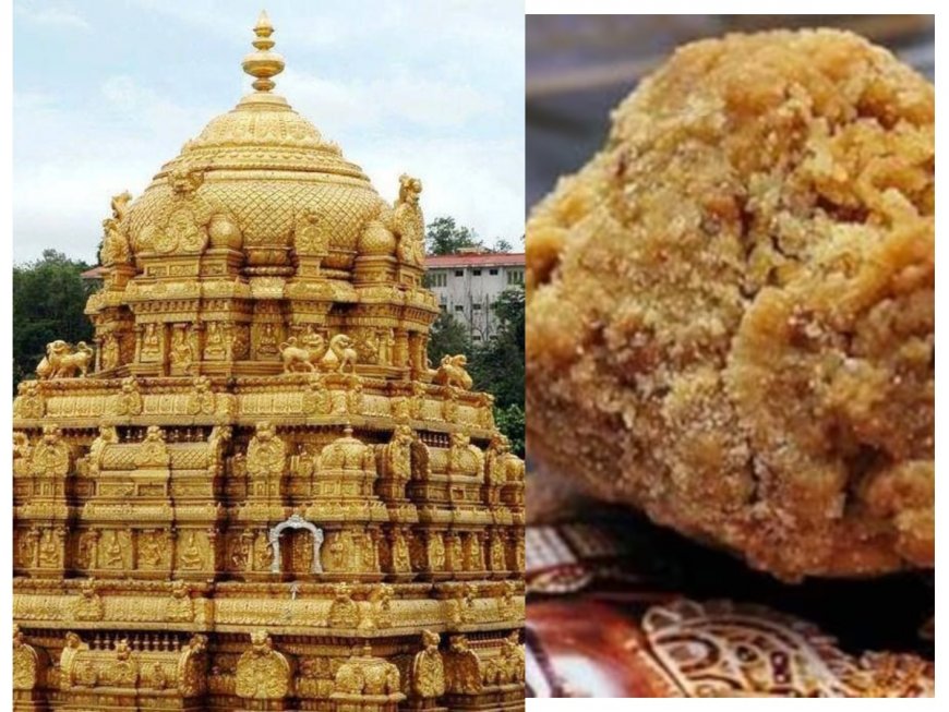 Tirumala Laddus Row: Who is AR Dairy’s owner? Here’s how firm reacted to ‘Animal Fat’ accusations