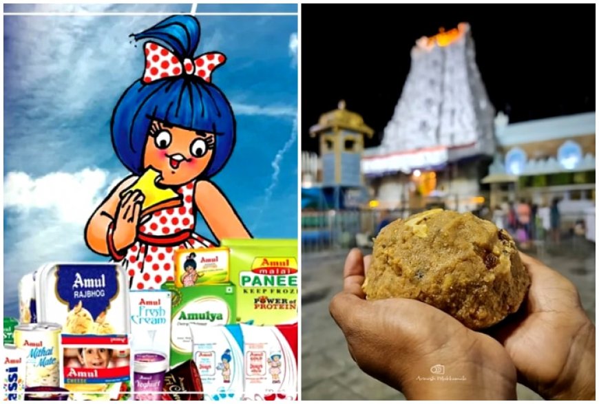 What is the link between Amul and Tirupati Laddus? Why dairy brand files complaint against…