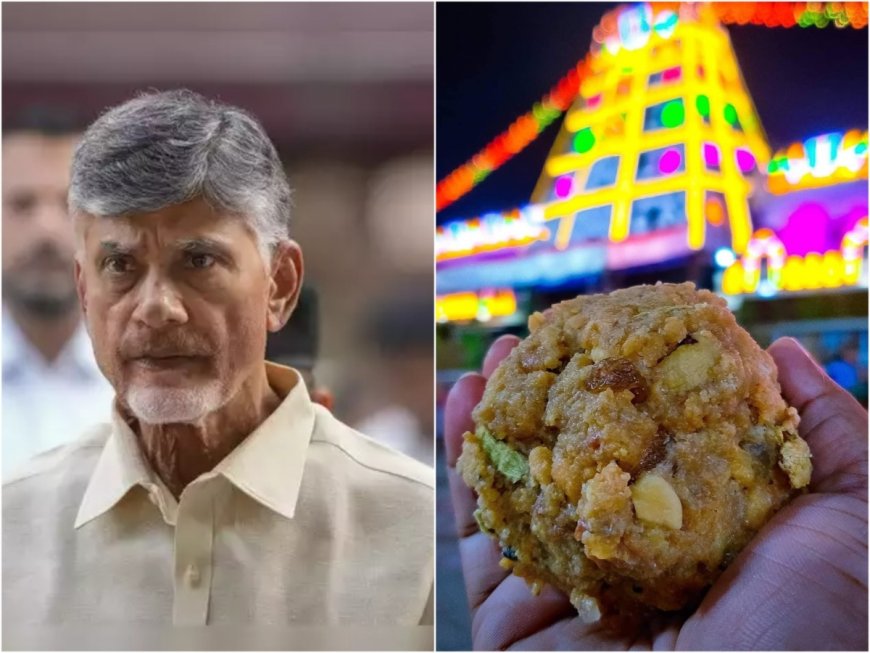 Tirupati Laddus Row: All Andhra temples to be cleansed, says Chandrababu Naidu; Jagan writes to PM, seeks action against CM