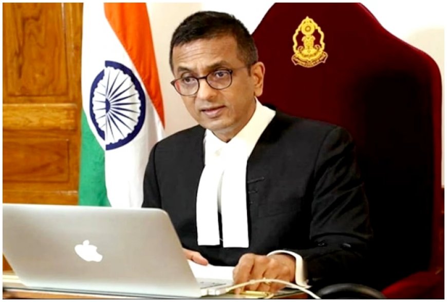 What makes Chief Justice Chandrachud angry in Supreme Court? Why he says, ‘don’t say ‘ya ya ya’