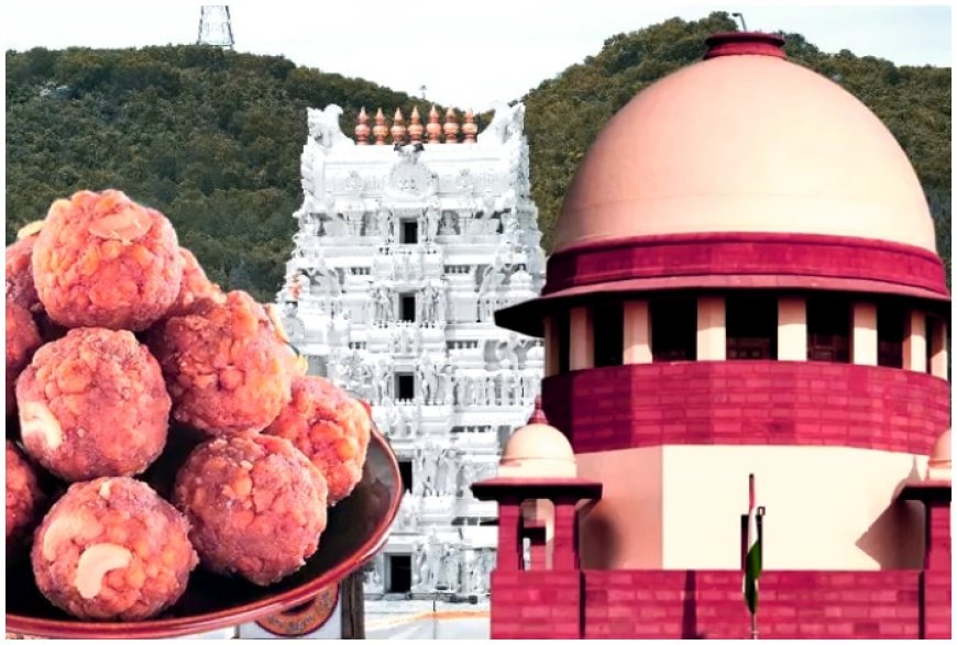 Tirupati Laddu Row: Big development as Andhra Pradesh government stops SIT probe until…