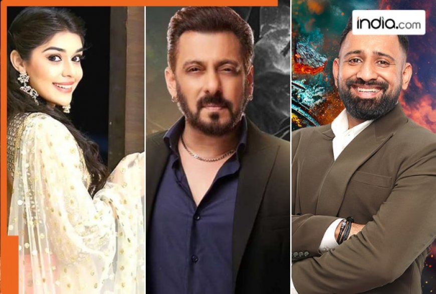 Bigg Boss 18: Rajat Dalal, Eisha Singh, Vivian Dsena, Nyrraa Banerjii, Karan Veer Mehra, other popular celebs enter time ka tandav season, check complete contestant list