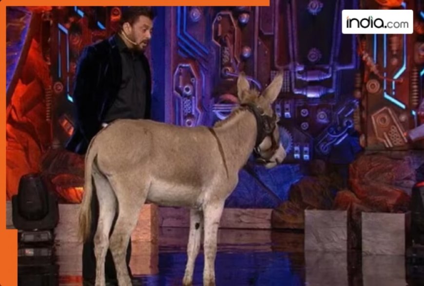 Bigg Boss 18: PETA Criticises Use of Donkey on Salman Khan Show, Demands Animal-Free Entertainment